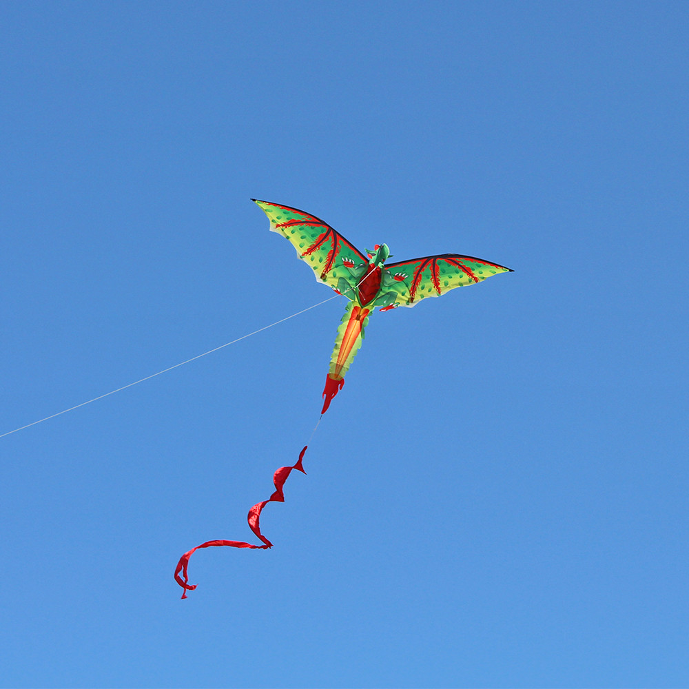 3D D-ragon K-ite Kids Toy  Out - Kids Unique Outdoor Toys recensione e prezzo